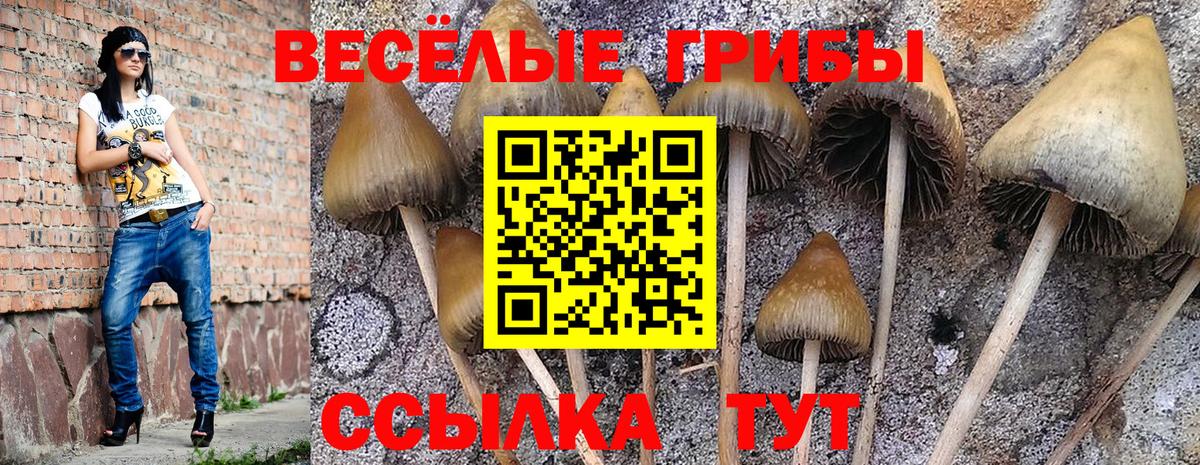Псилоцибиновые грибы мухоморы  Вход с VPN  как найти закладки  Псилоцибиновые грибы ЛСД  Уссурийск 